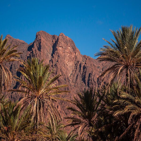 Morocco Adventure Tour through diverse rugged landscapes