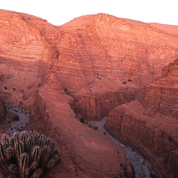 A breathtaking perspective of Aoukerda Canyon.