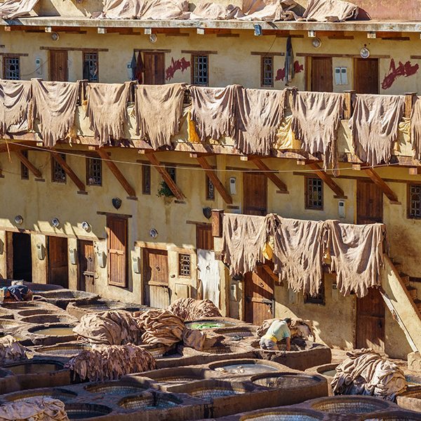 Traditional Leather Dyeing Process in Fes, Morocco