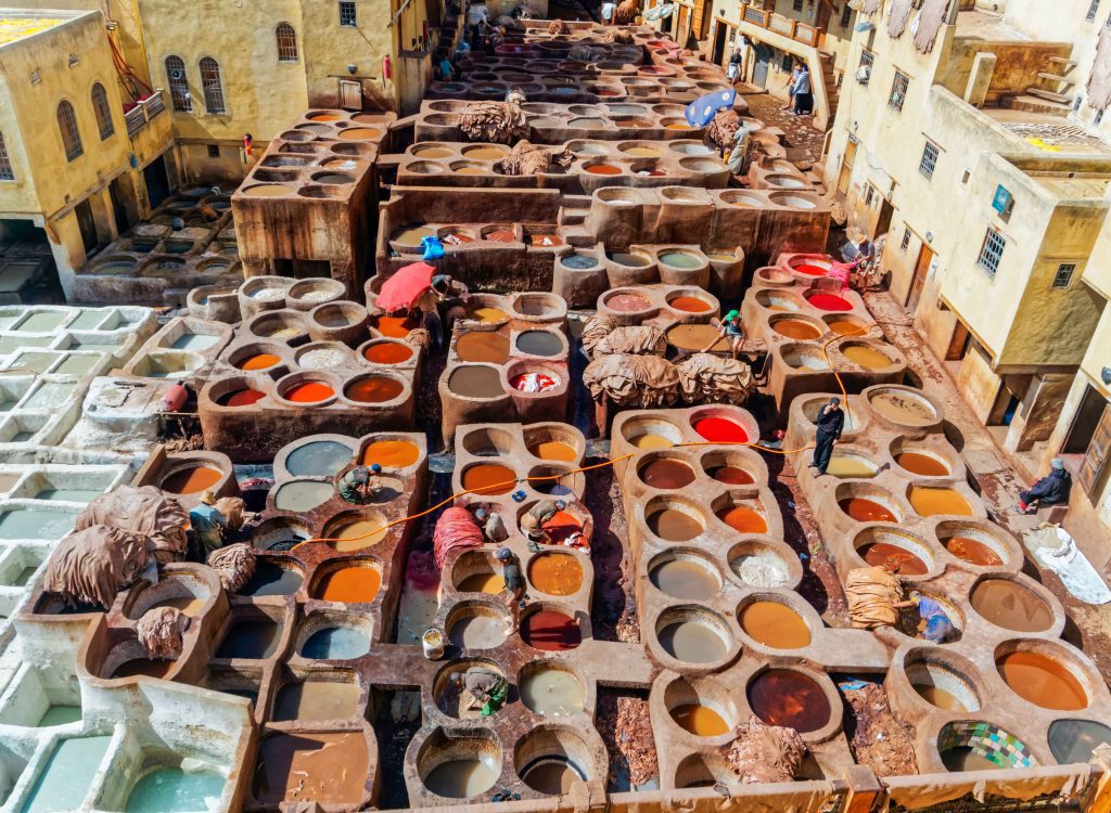 Leather dying in a traditional tannery in the city Fes, Morocco.