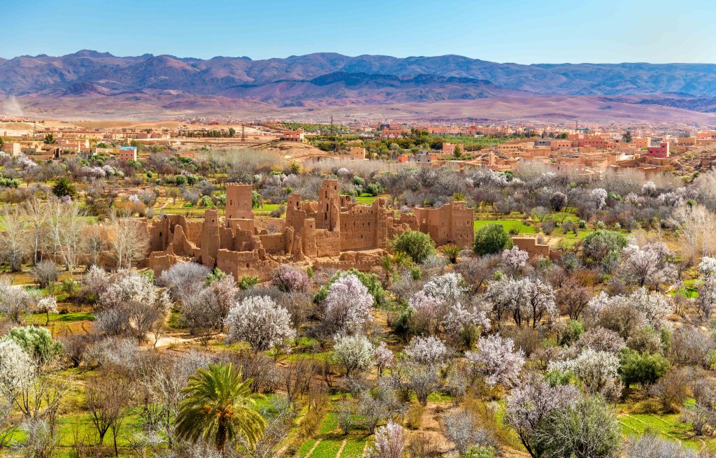 Ruins of a Kasbah in the Valley of Roses, Morocco. Ruins of a Kasbah in the Valley of Roses - Morocco, North Africa.
