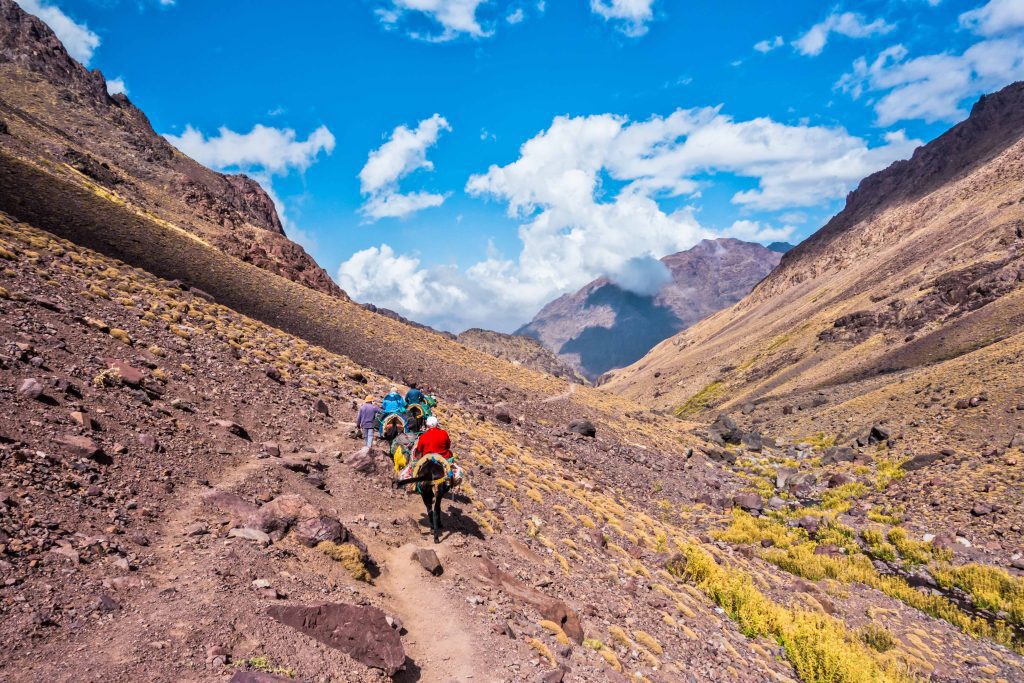 High Atlas Mountains: Peaks, Valleys, and Amazigh Traditions.