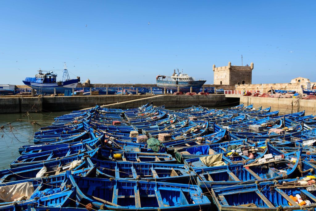 Blue traditional boats parked on the harbor in Essaouira, Morocco.